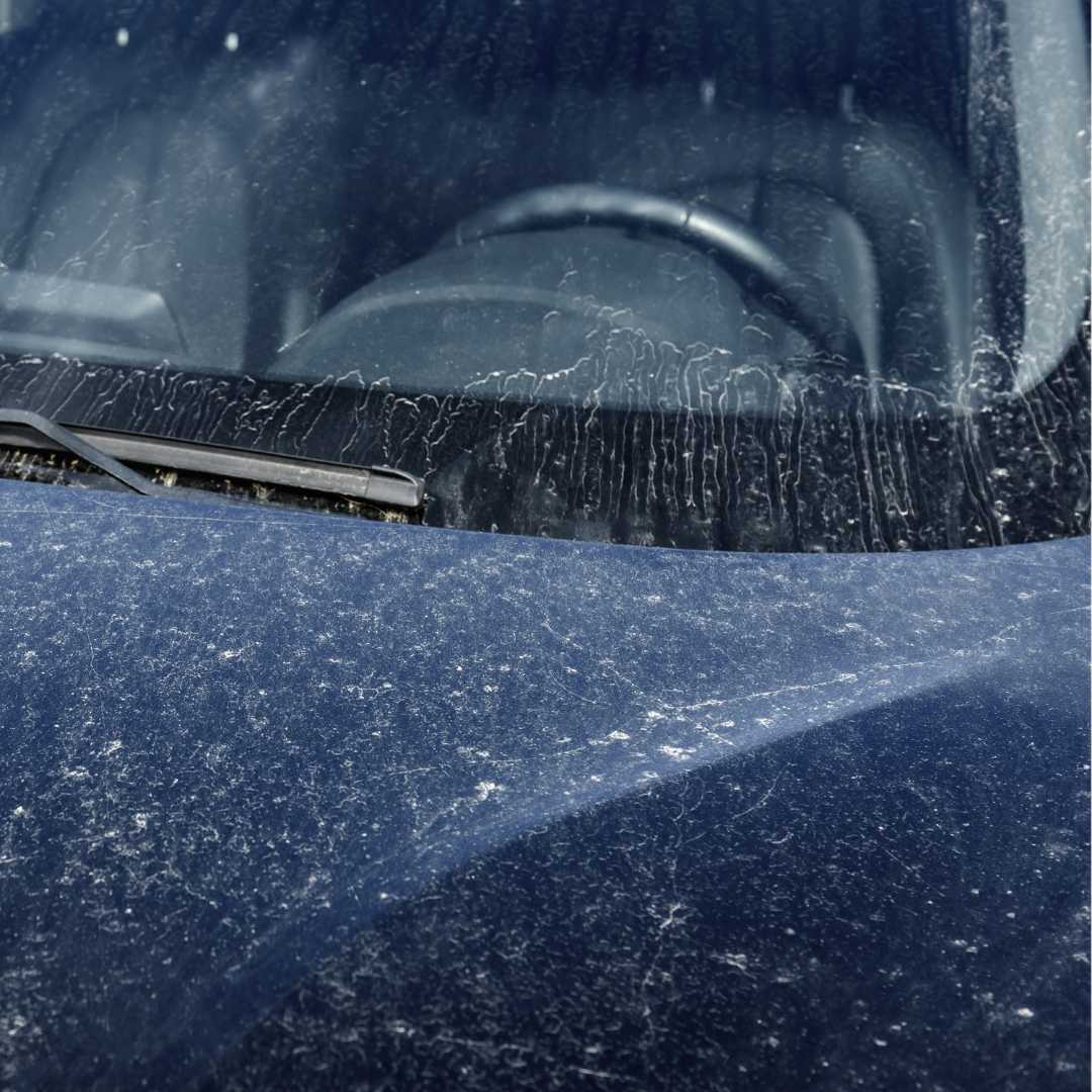 Customer car windscreen and bonnet caked in dust and water spots before a Gloss Boss exterior detail